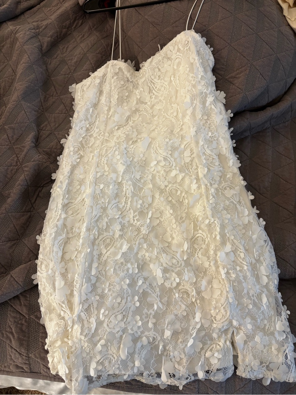 wild fable Ivory Lace Appliqué Mini Dress